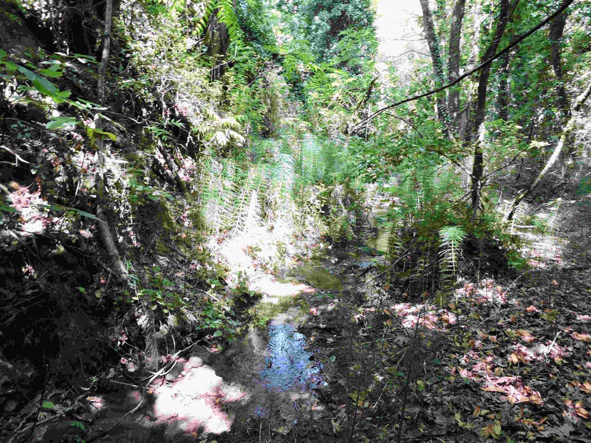 Μπενίτσες Benitses mykerkyra.com