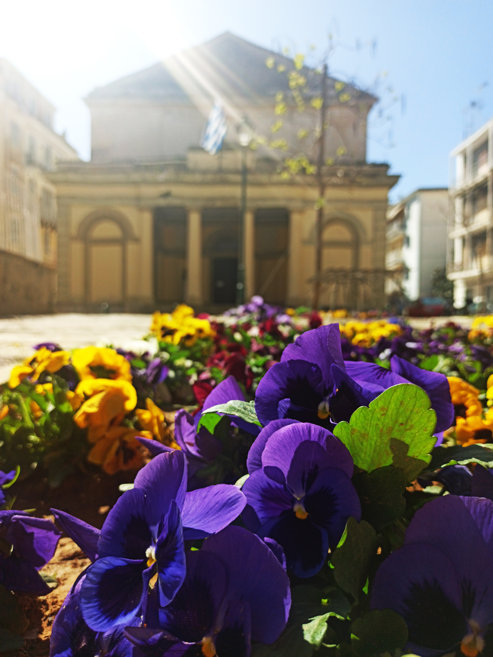 Ιόνιος Βουλή