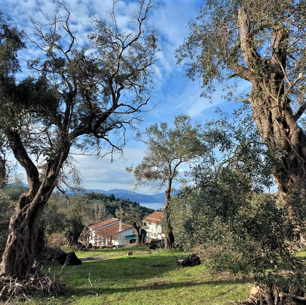 Vasilatika Βασιλάτικα mykerkyra