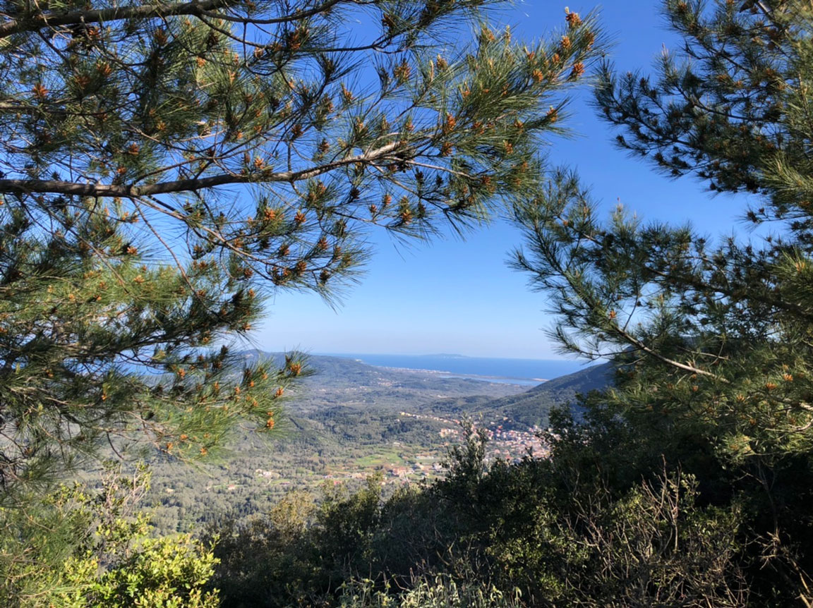 Profitis-ilias-mykerkyra-mariliamakri