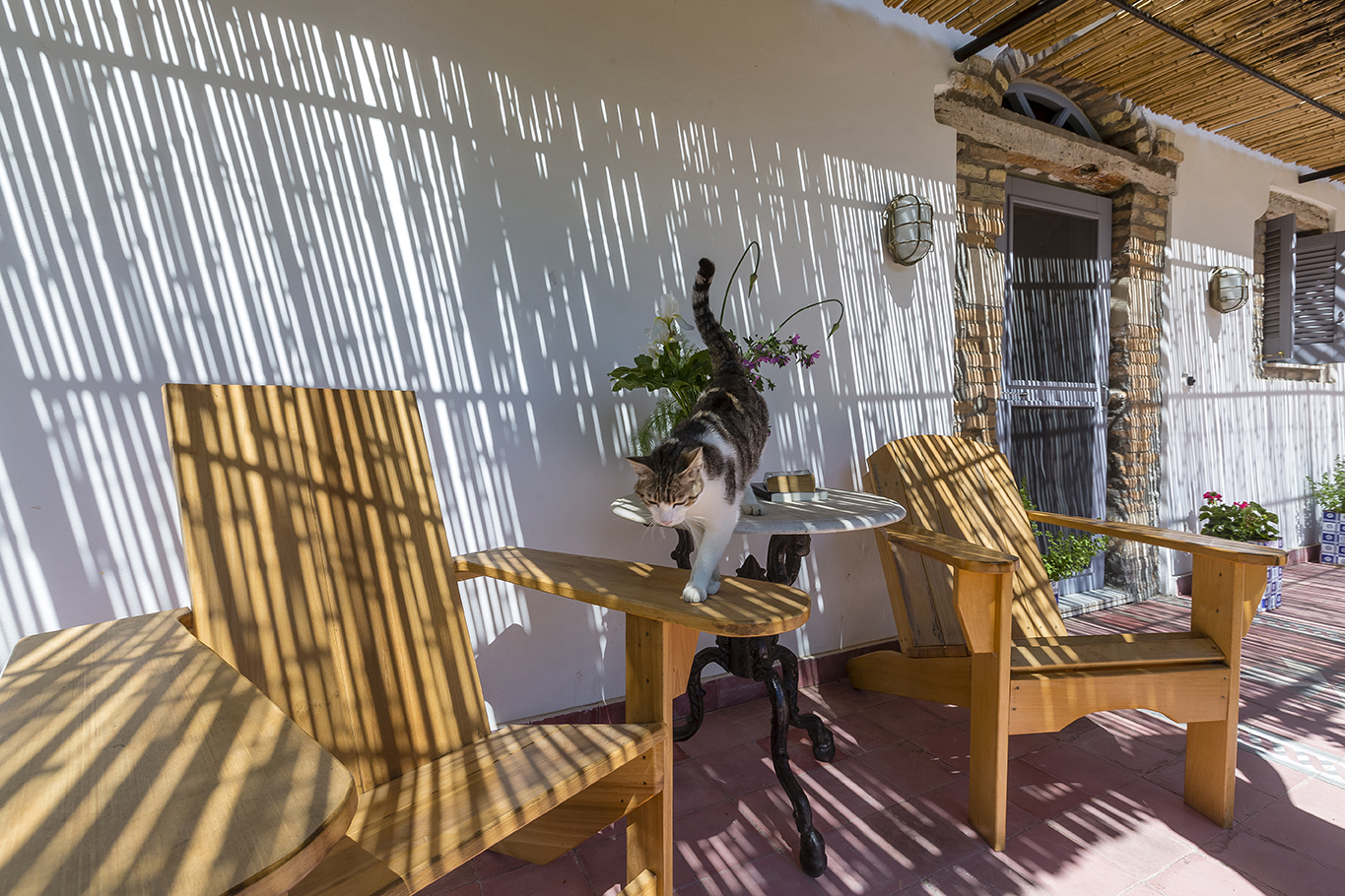 Dr Kavvadia organic farm organic olive oil single estate production farm stay and agritourism οργανική φάρμα αγροτουρισμός Κέρκυρα Corfu mykerkyra (20)