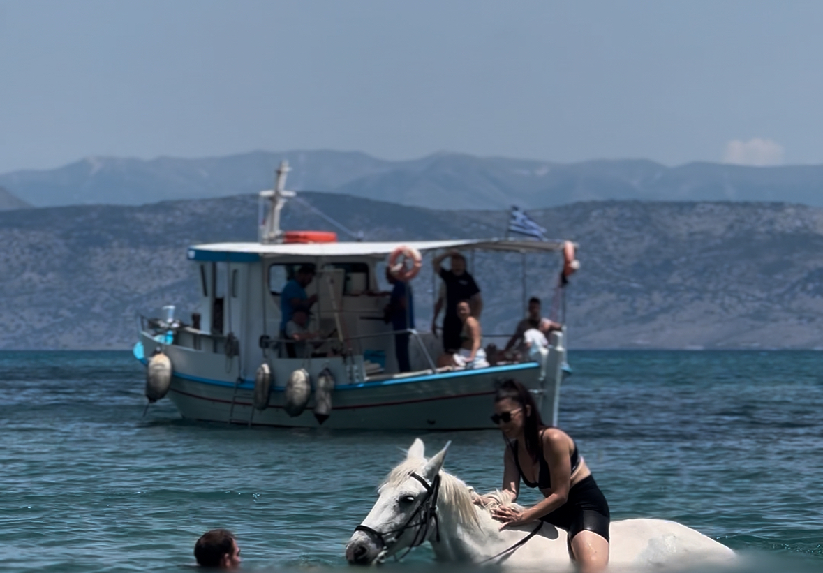 north corfu horses swimriding κέρκυρα ιππασία κολύμπι με άλογα (15)
