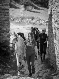 north corfu horses swimriding κέρκυρα ιππασία κολύμπι με άλογα (5)